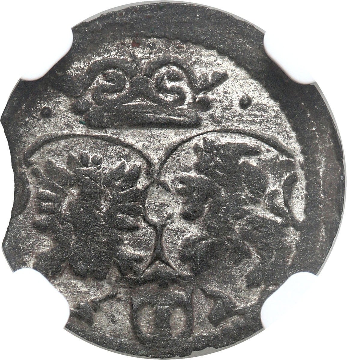 Zygmunt III Waza. Denar 1619, Kraków NGC MS61 (MAX) - RZADKOŚĆ R8